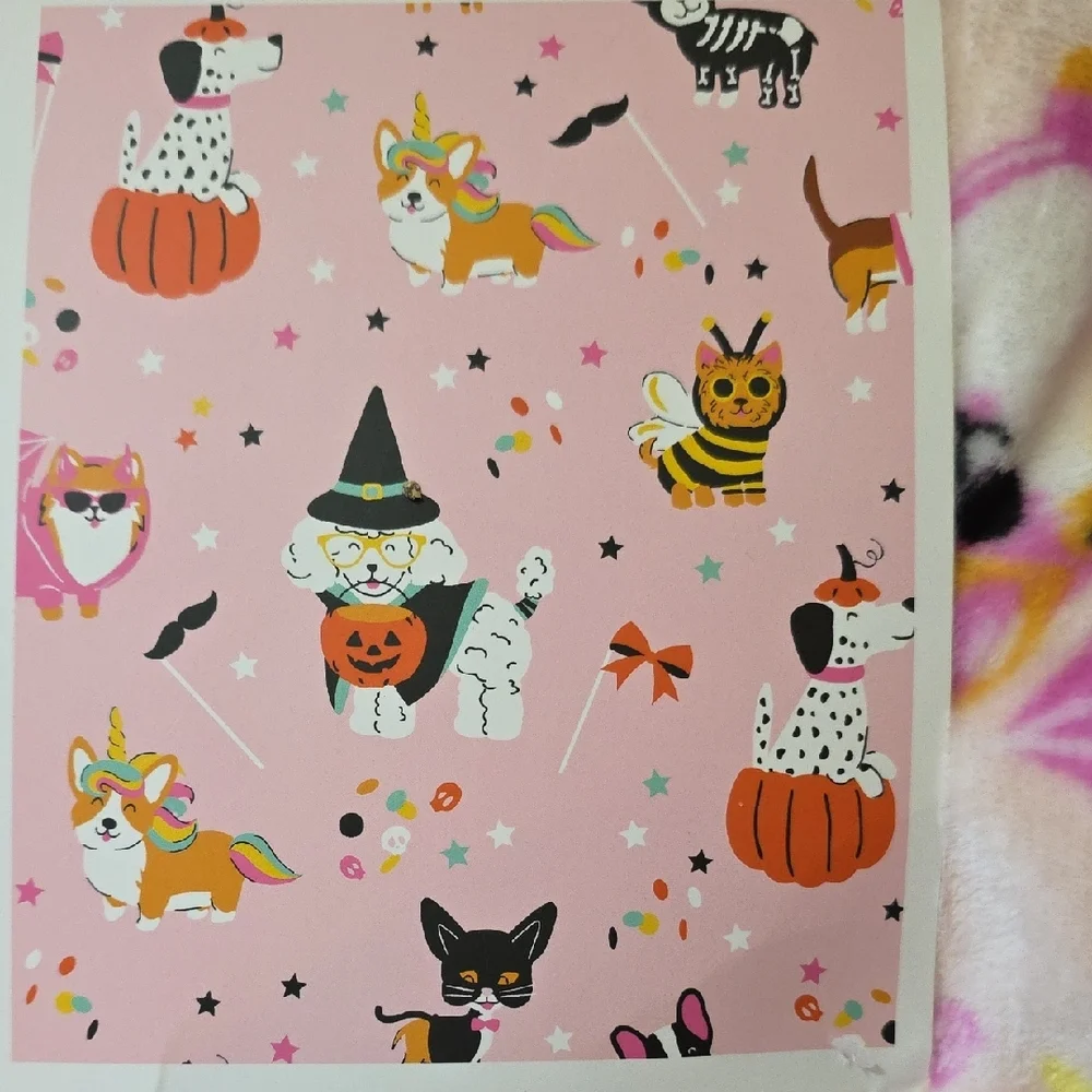 Celebrate Halloween Velvet Plush Throws